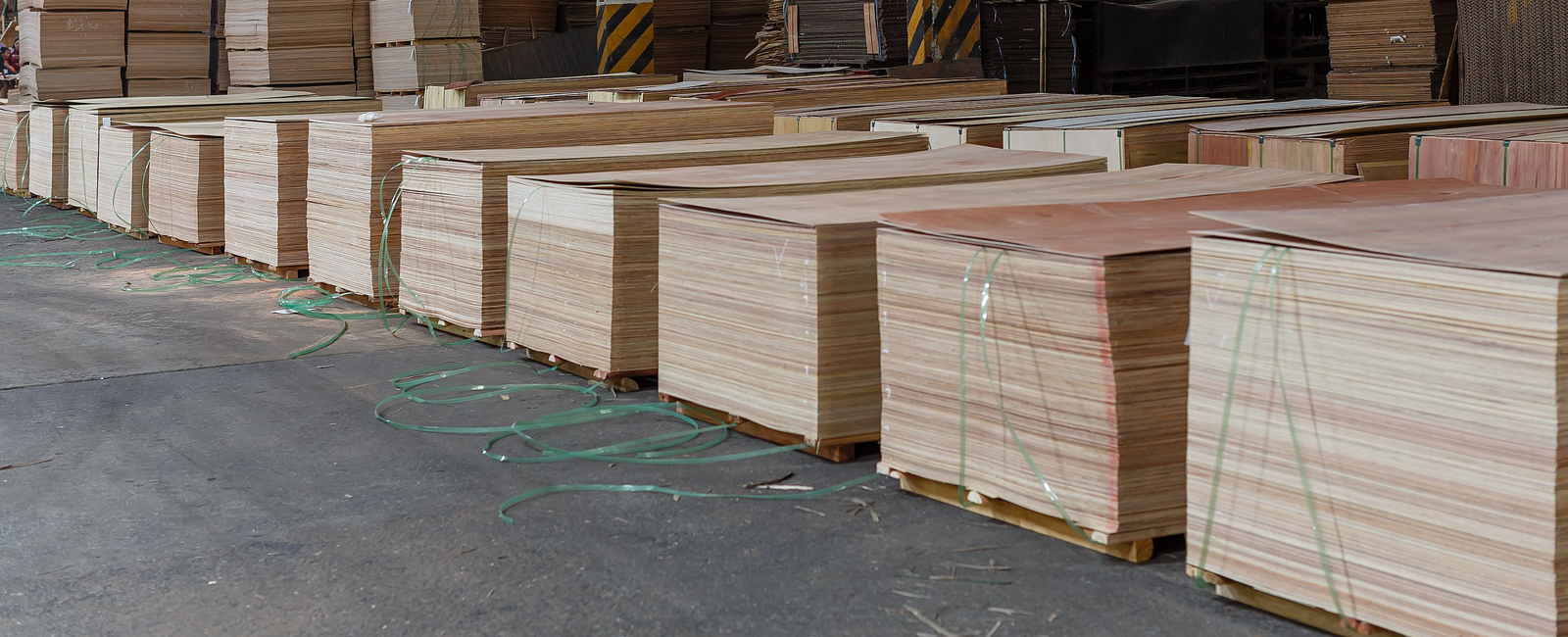 Timber